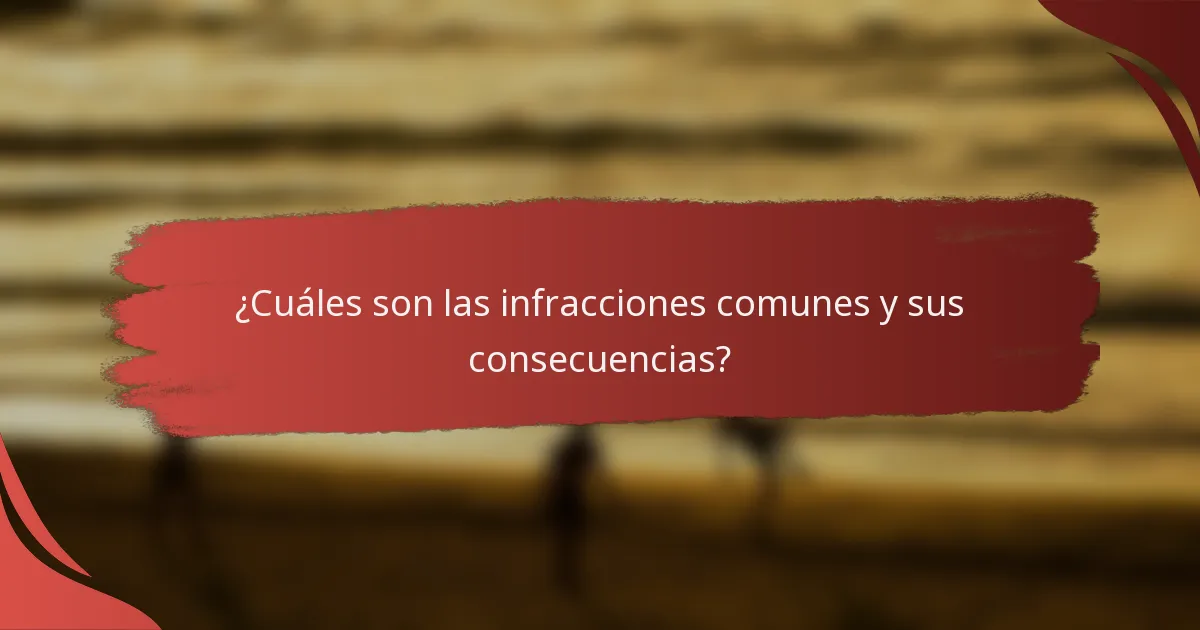 ¿Cuáles son las infracciones comunes y sus consecuencias?